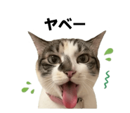 843528960