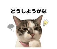 843528965