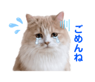 843528979