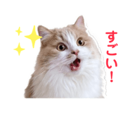 843528989