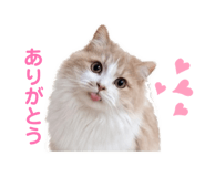 843528990