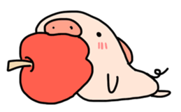 843529