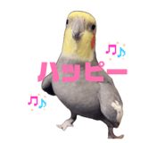 843529386