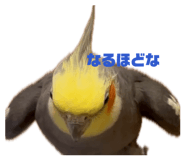 843529388