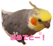 843529389