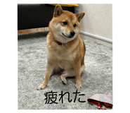843529419