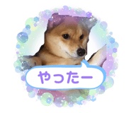 843530105