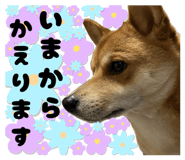 843530106