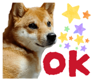 843530109
