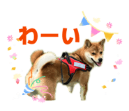 843530120