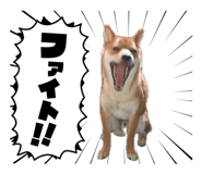 843530126