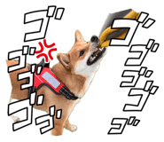 843530130