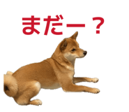 843530132
