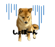 843530133