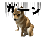 843530134