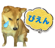 843530135