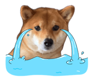 843530136