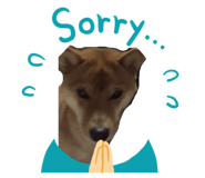 843530137
