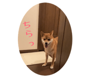 843530138