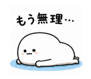 843530994