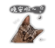 843532196