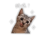 843532200