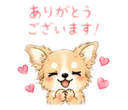 843532339