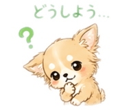 843532346