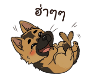 843532579