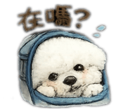 843533116