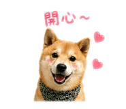 843533138
