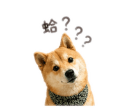 843533139