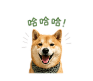 843533141