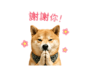 843533142