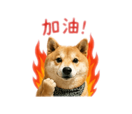 843533143