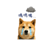 843533144