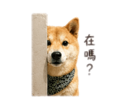 843533145