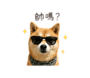 843533147