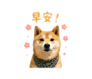 843533148