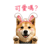 843533150