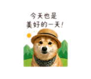 843533154