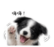 843533818