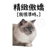 843534026