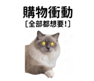 843534038