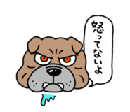 843534620