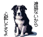 843534681