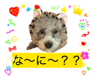 843535428