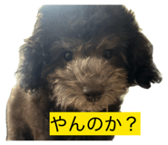 843535434