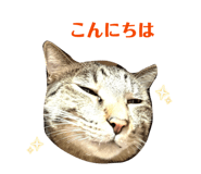843535506