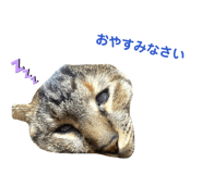 843535507